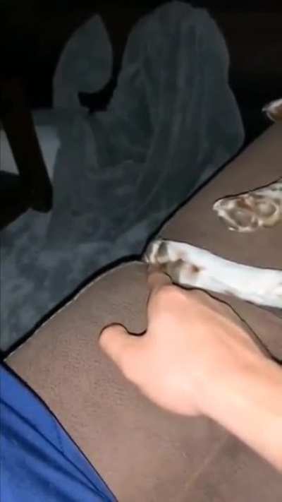 Kick was personal