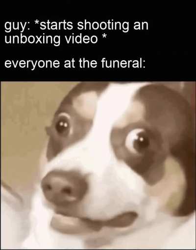 This will get a million views easily