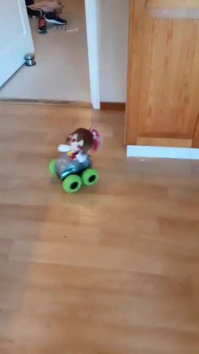 Reimu gets her driver's license revoked