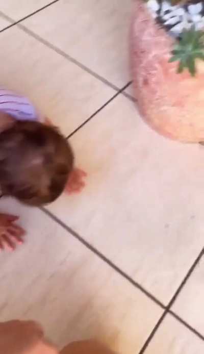When your not allowed to eat stones 😭