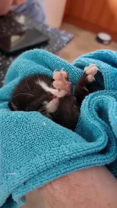 Just the tiniest pair of murder mittens I&rsquo;ve ever seen!!