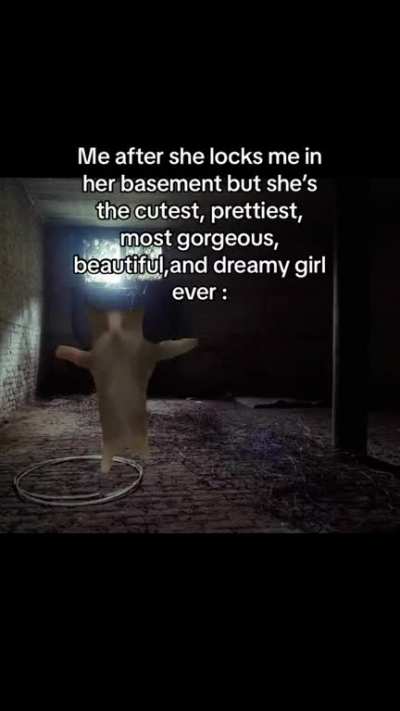 The happiest schizoposter and femcelgrippysockjail user relationship