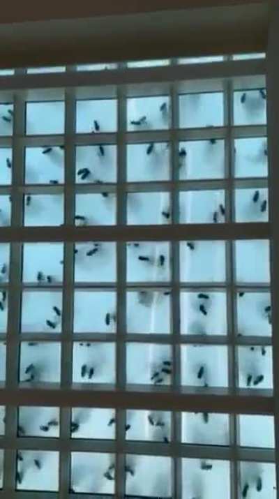 Vis&atilde;o de baixo de pessoas dan&ccedil;ando sobre um ch&atilde;o de vidro