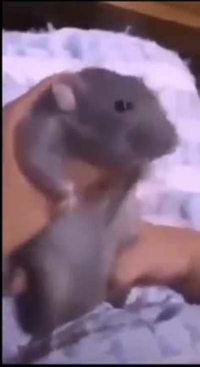 ret