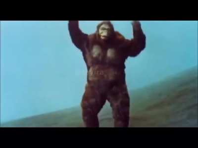 monke vs y&uuml;r&uuml;yen timsah