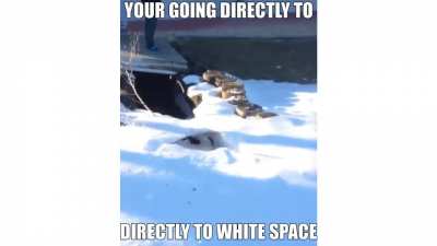 Whitespace