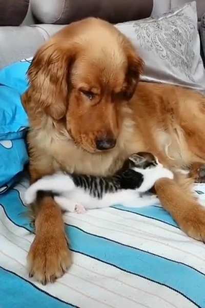move on my friend