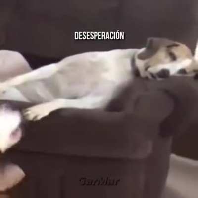 Elige sab&iacute;a mente 😌