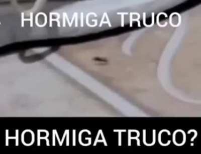 Tercer post del d&iacute;a. El shitpost es mi pasi&oacute;n