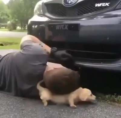 I halp hooman...I halp!&rdquo;