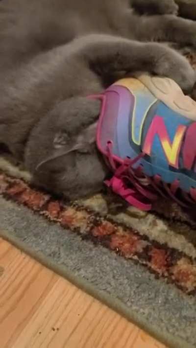 Greyleigh gettin' weird with shoes