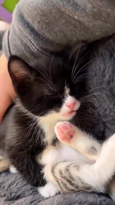 From yap to nap