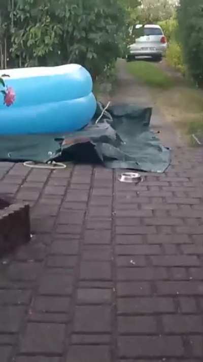 tierischer Besucher zu sp&auml;ter Stunde