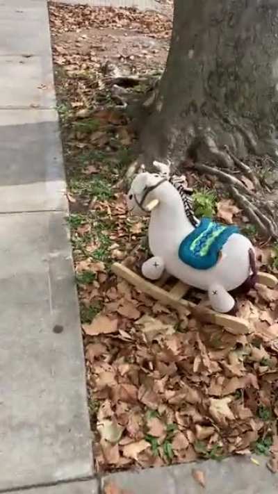 Good doggie wondering why there&rsquo;s a tiny horse in NYC