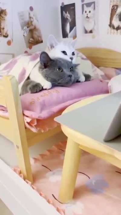 chill out time