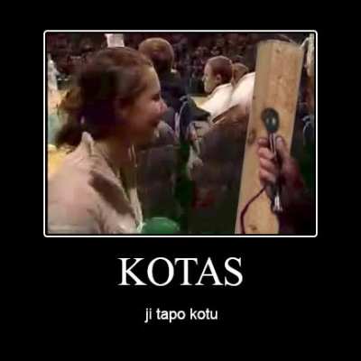 normalu yra būti draugu ir normalu yra būti debilu &amp;lt;2