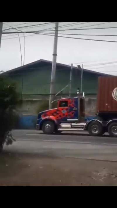 ele voltou