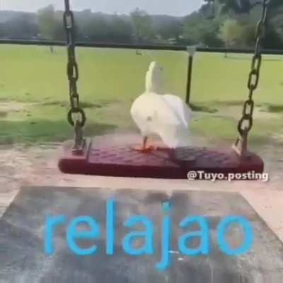 RELAJAO😎🤙