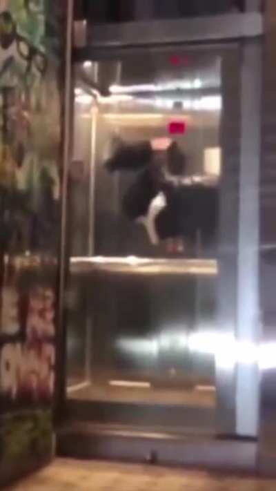 Bro thought he can break physics