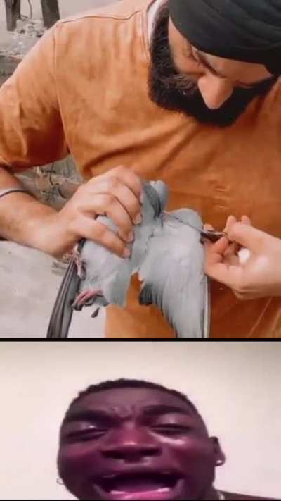 Bhai Mujhe Kyu Toda 🥺