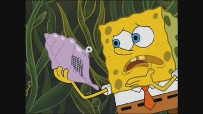 &ldquo;The shell has spoken!&rdquo;