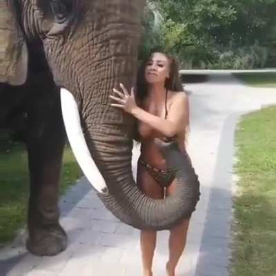 I&rsquo;m a naughty elephant :P