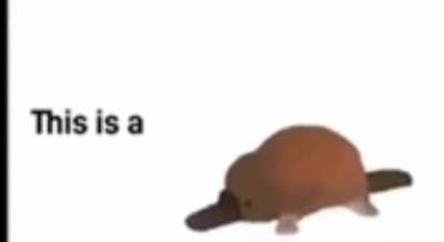 turn your volume up