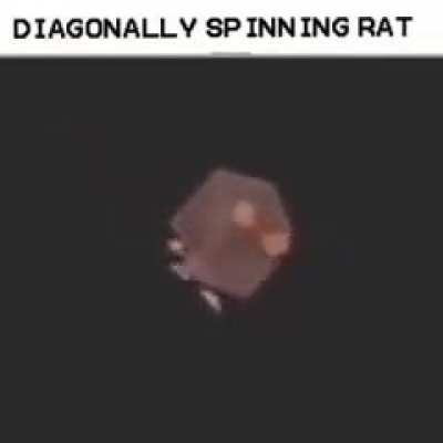 🐀