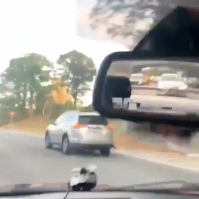 People who drive like this..
