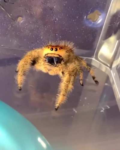 Oh, didn&rsquo;t see you there!