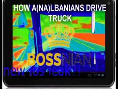 Average analbanian
