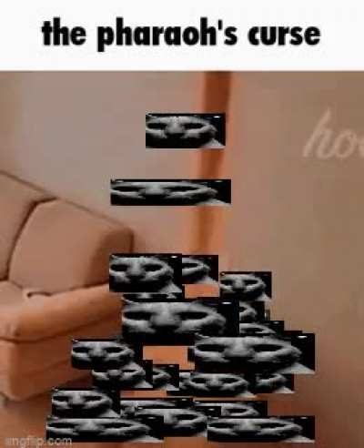 56559