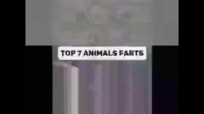 tiktok epicness