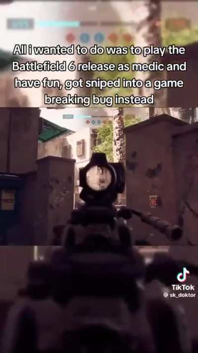 Damn BF6 bugs