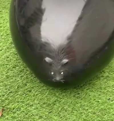 waterat (sad ending) 😭