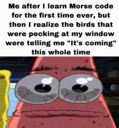 I&rsquo;m a bird