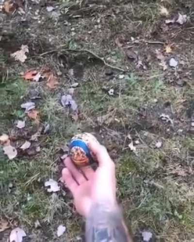 Your average fetch