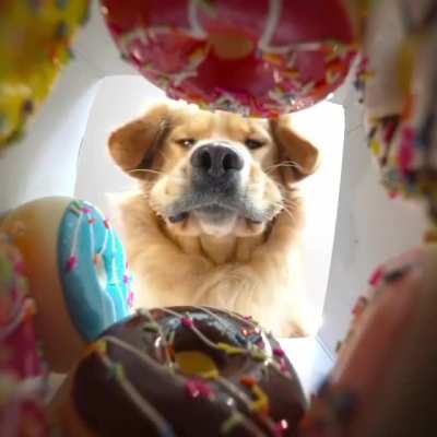 Looking down on donuts