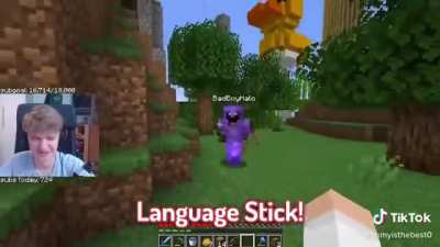 The language stick