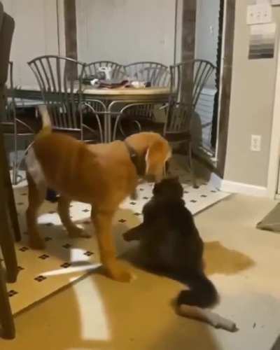 Oh, you wanna play do ya?