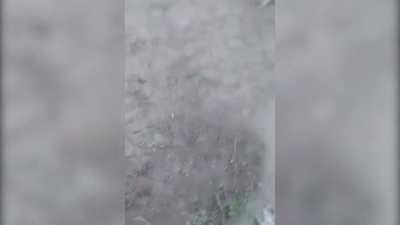 Woman Hit By Horse During Race