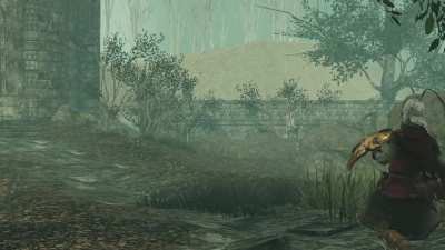 are Dark Souls 2 Falconers even real?