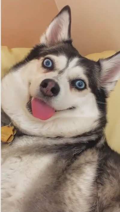 He&rsquo;s just installing an update