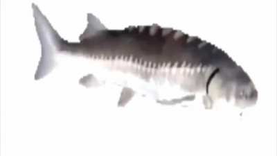 ㅤ