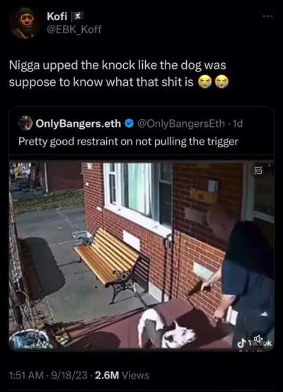 How he thought the dog was gonna react: 😱