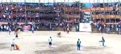 Bull rodeo