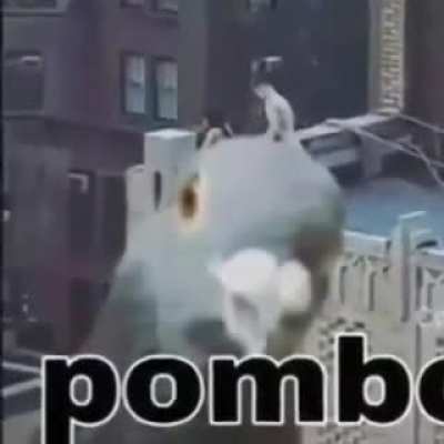 OBMOP