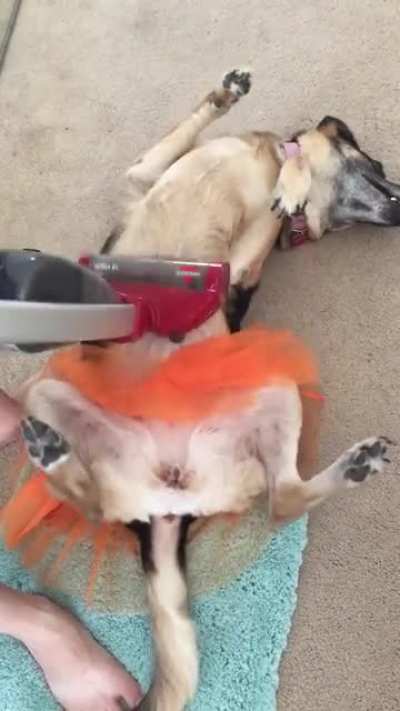 Well, that&rsquo;s one way to handle the hair.