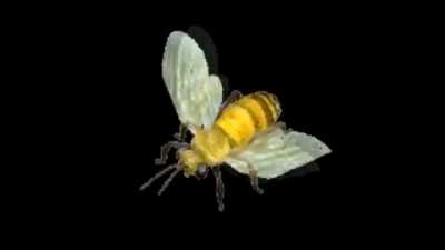 Spinning bumble