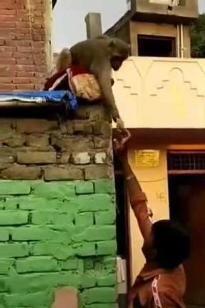 Taking a bribe to return a stolen shirt